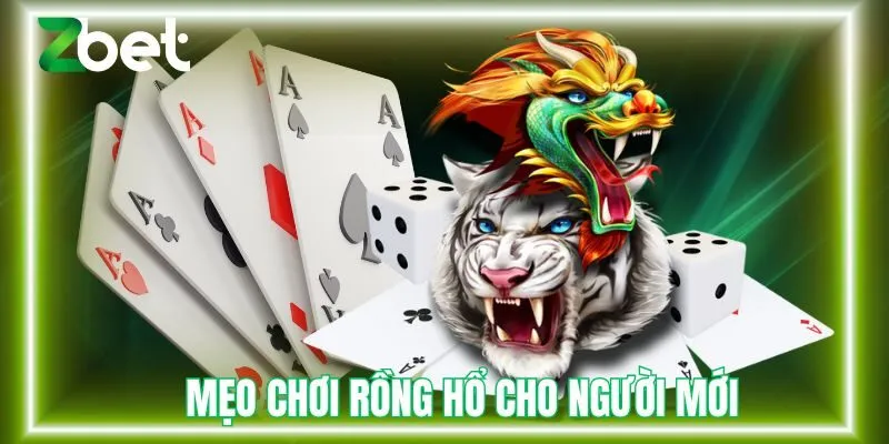 Mẹo chơi rồng hổ cho người mới