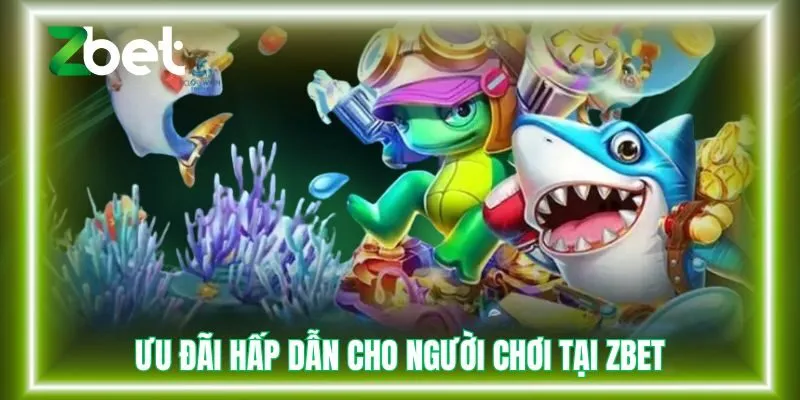 Ưu đãi hấp dẫn cho người chơi tại Zbet